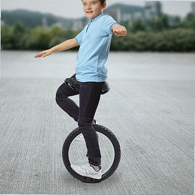 16in One Wheel Bike, 50kg/110lbs Load Unicycle, Monowheel, Single Wheel Bicycle