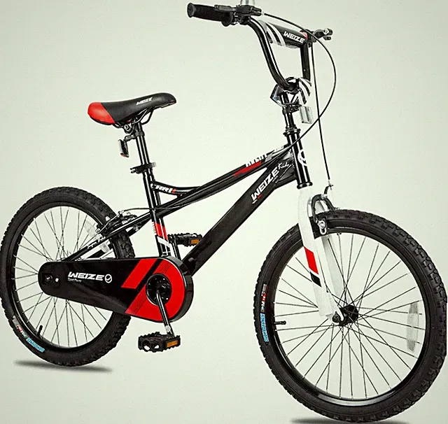 20" Children Bicycle for Ages 3-12 Years Old, Rider Height 32-60 Inch