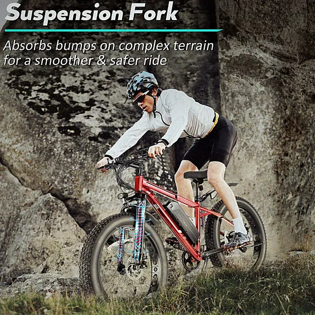 Electric Bike 26"*4.0 Fat Tire 500W E-Bike w/48V LI-Battery Mountain Bicycle LCD